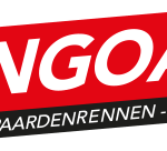 Bingoal Casino logo