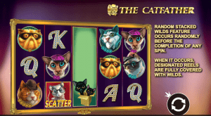 Catfather online Slot videoslot gokkast Casino speelhal RTP hoogste uitbetaltingspercentage kansspelen 2021